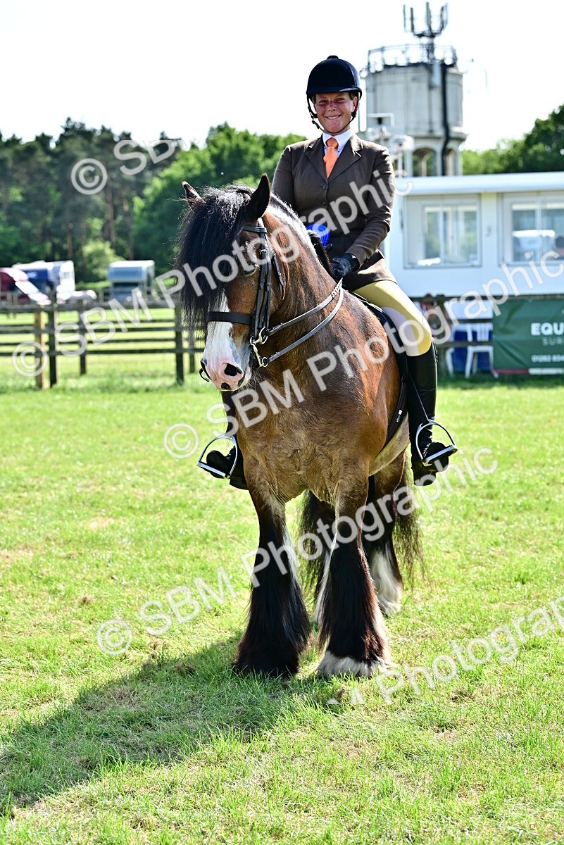 SBM_09427 - Class 63-65 - Traditional Gypsy Cobs In Hand & Ridden