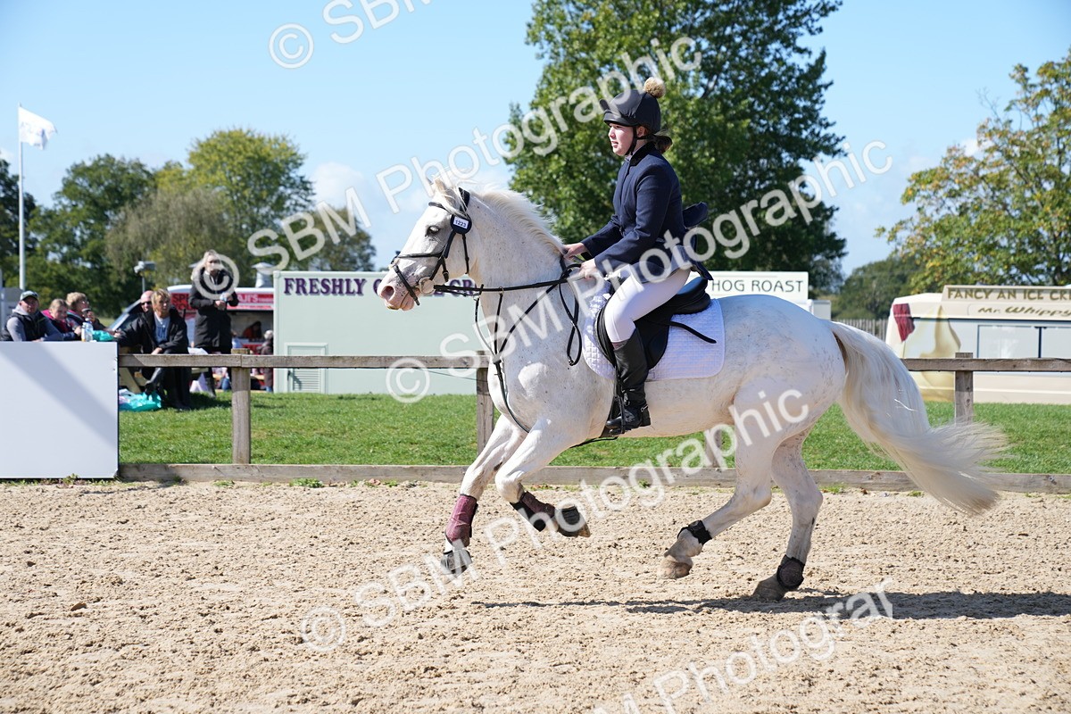 SBM_04878 - J56 - Clear Round 70cm