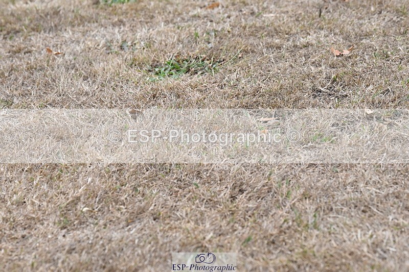 250820A-175728-12394 - Wednesday Presentations