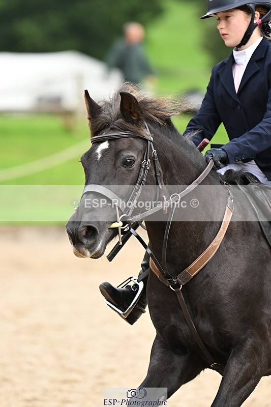 240929-102708-00288 - Cls 1 70-75cm