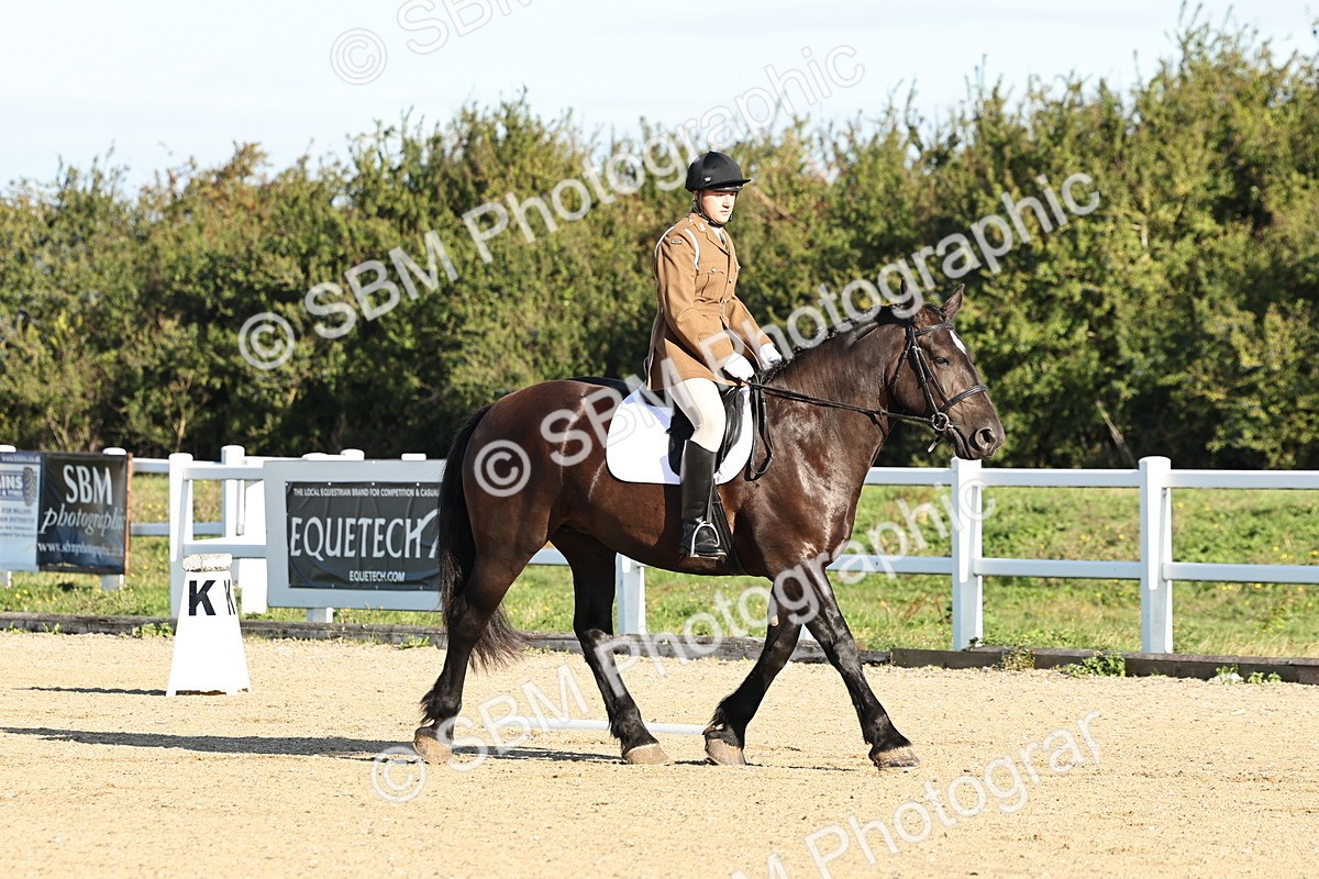 SBM_003091 - Class 66 - Intro 3