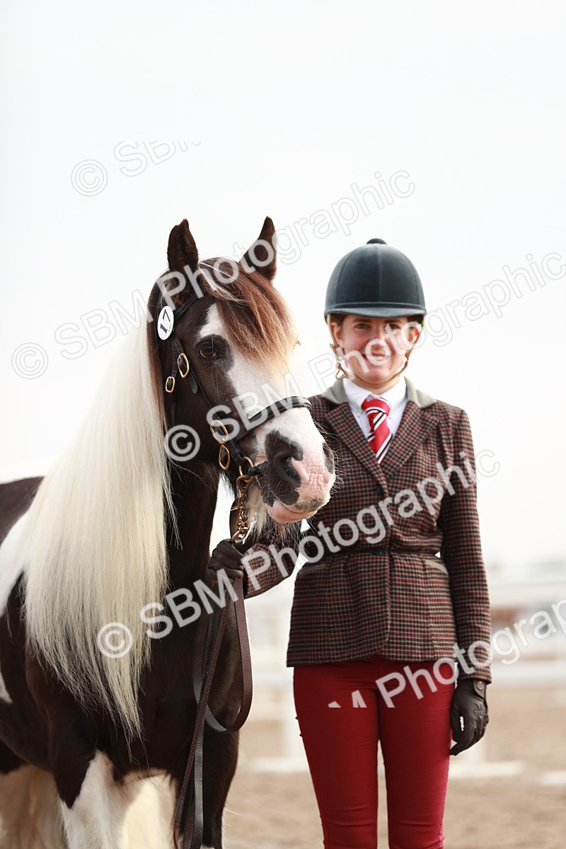 SBM_09542 - Class 201 Best Turned Out IH