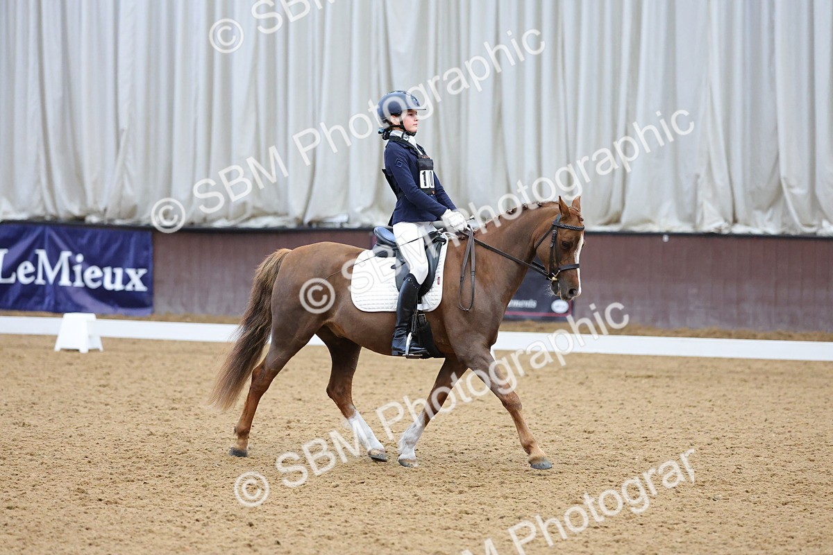 SBM_003683 - Novice