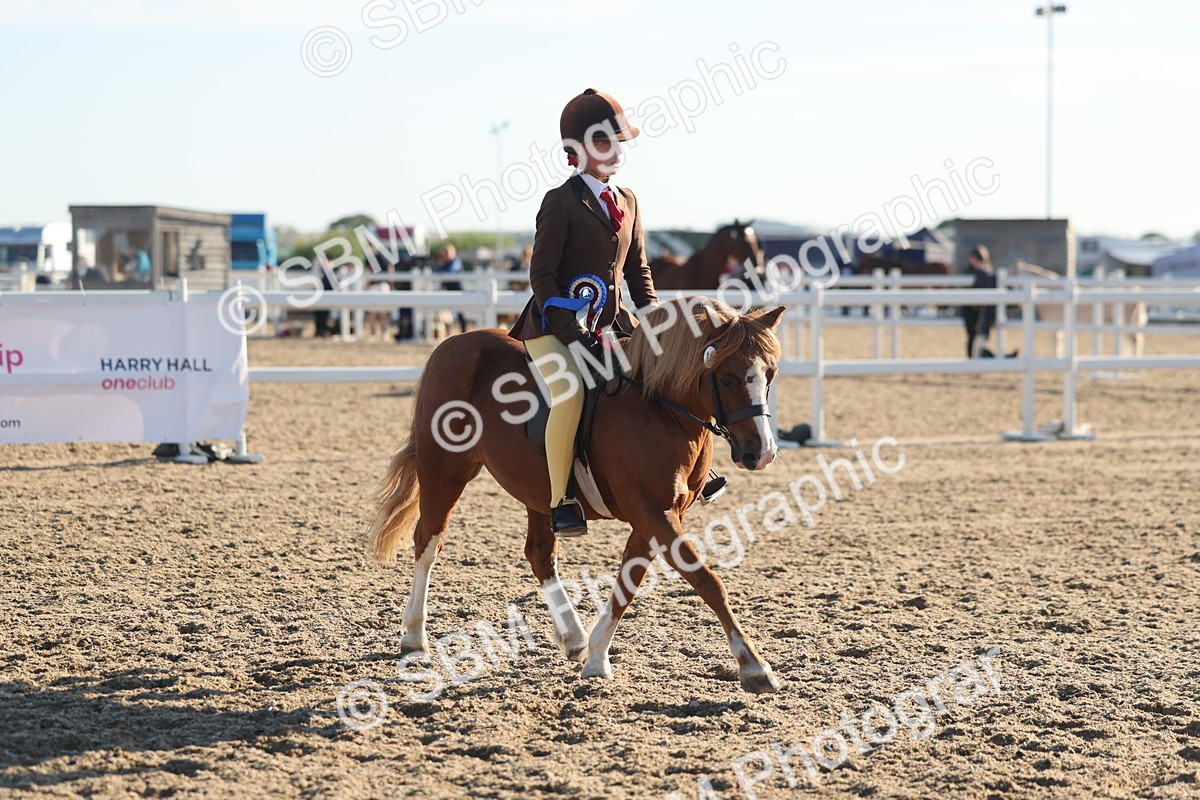 SBM_10946 - Class 301 - Ridden M&M Small Breeds