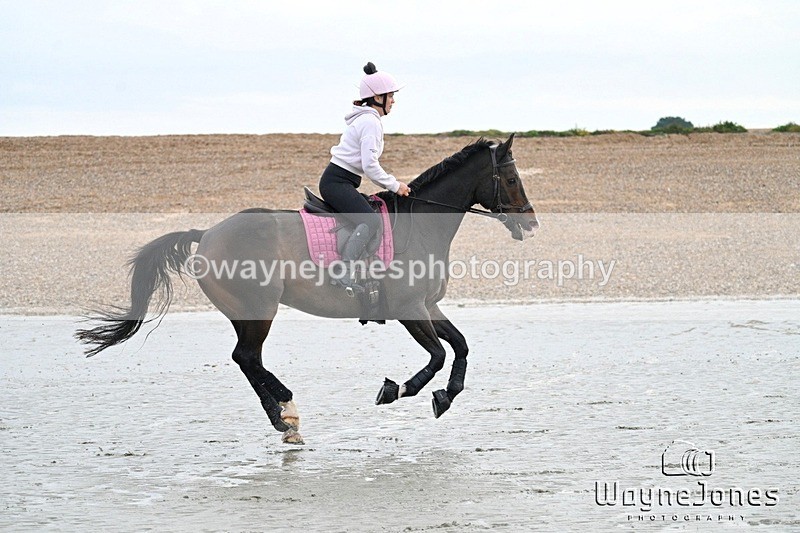 WJ7_9342 - Hayling Island Beach Shoot 22-09-24
