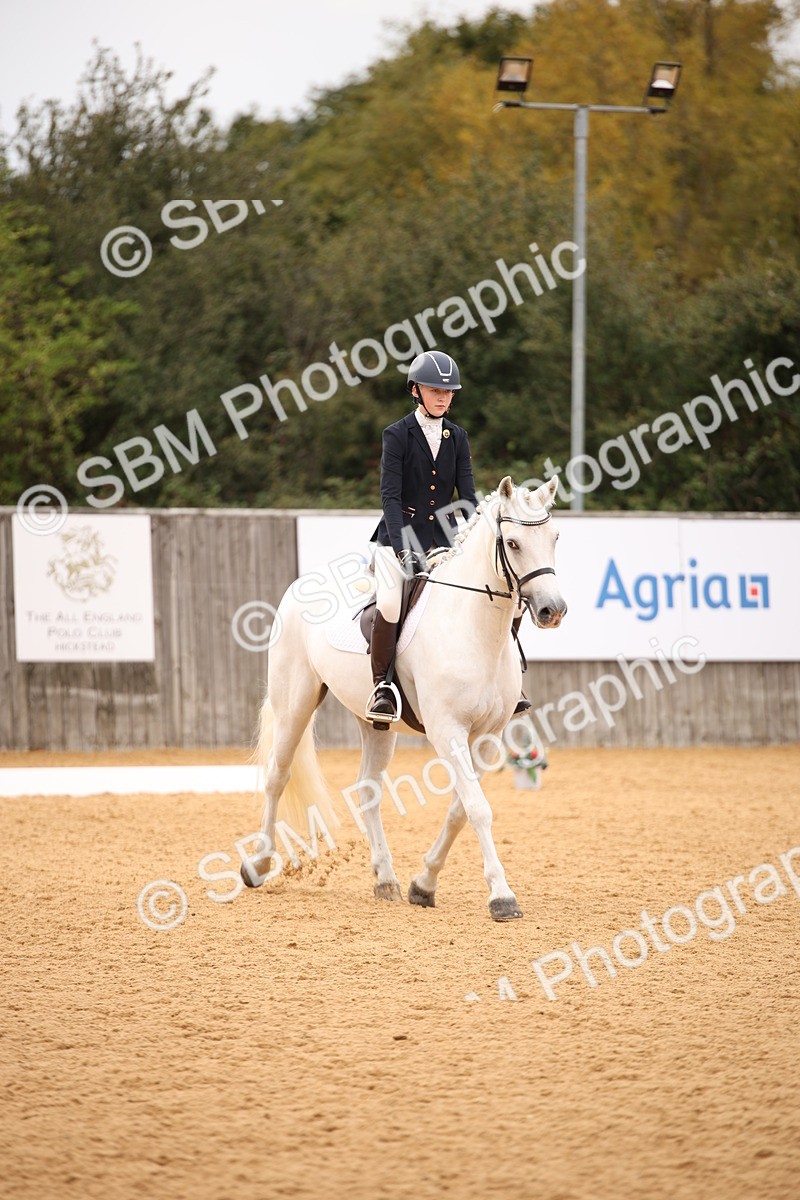 SBM_12241 - D3 Small  Tour Championship Intro A