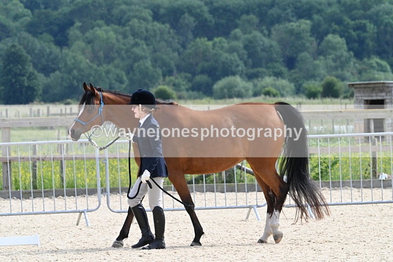 WJ7_8185 - Time 16:10 to 16:25