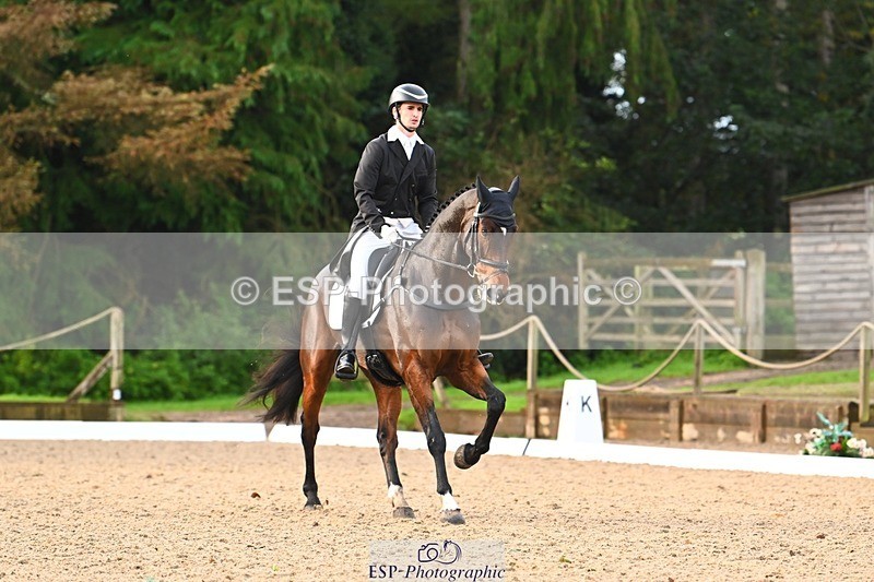 231021-091358-12795 - 324-HAZZLE.DAZZLE-Henry.Hobby-DR