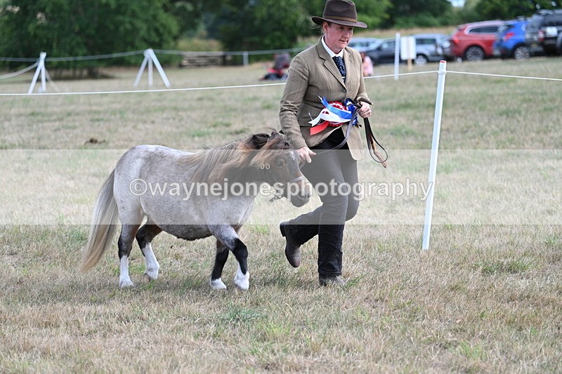 WJ7_8281 - In-hand Championship