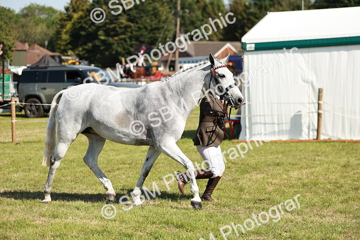 SBM_18906 - Class 114 - RIHS & SEIB Open Working Show Horse