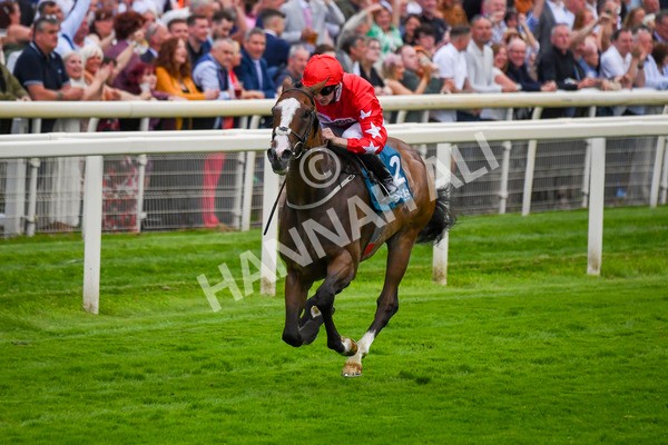 280723-Race 6-Spirit Dancer-0655 - Race 6 7.50pm Sky Bet Extra Places Every Day Handicap