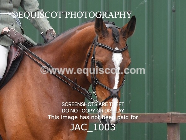 JAC_1003 - CLASS 7 BHS Scotland Riding Club Style Jumping (0.85m)