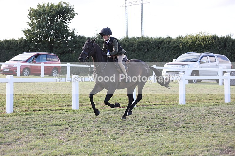 JPP_3753 - Working Hunter Championship