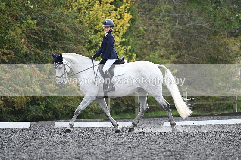 WJ7_6016 - Time 14:10 to 14:45