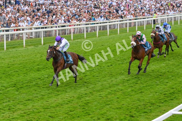 170623-Race 5-Twilight Romance-0783 - Race 5 4.15pm Reg Griffin Appreciation ebfstallions.com Maiden Stakes