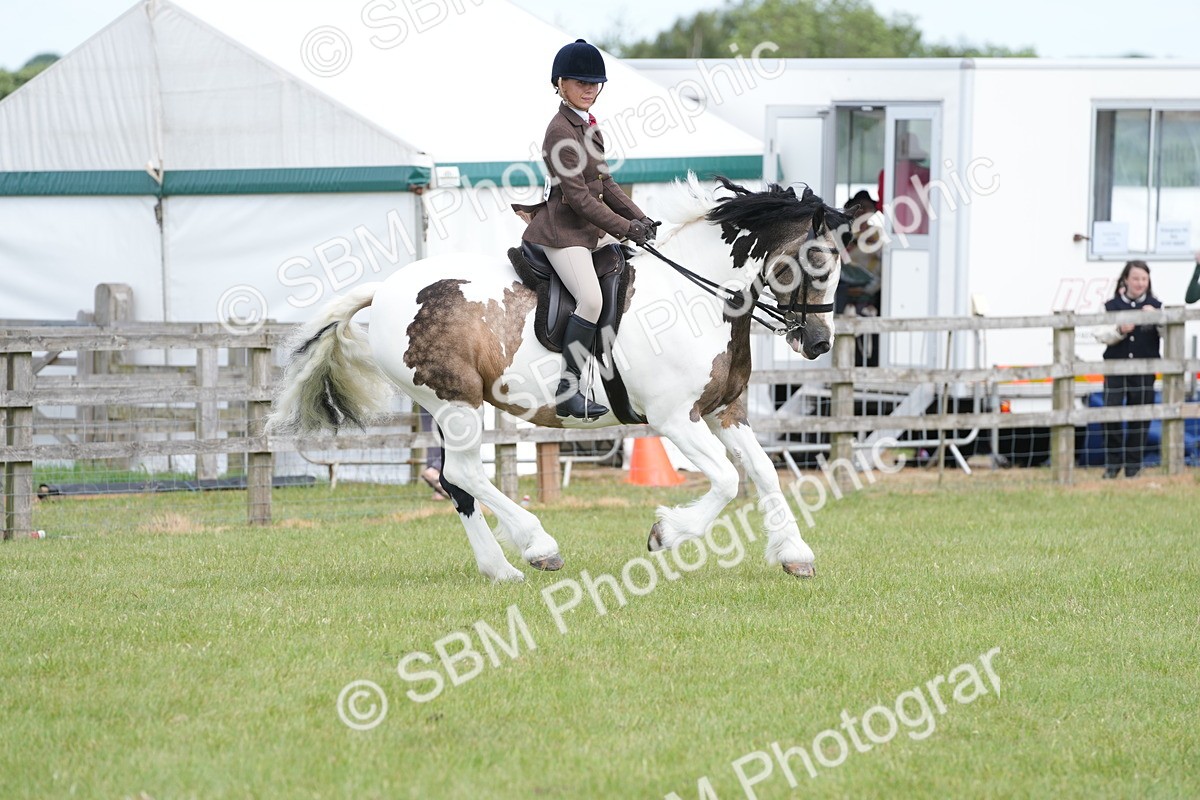 SBM_17225 - Class 107-108 - LIHS BSPS Performance Coloured Horse Pony