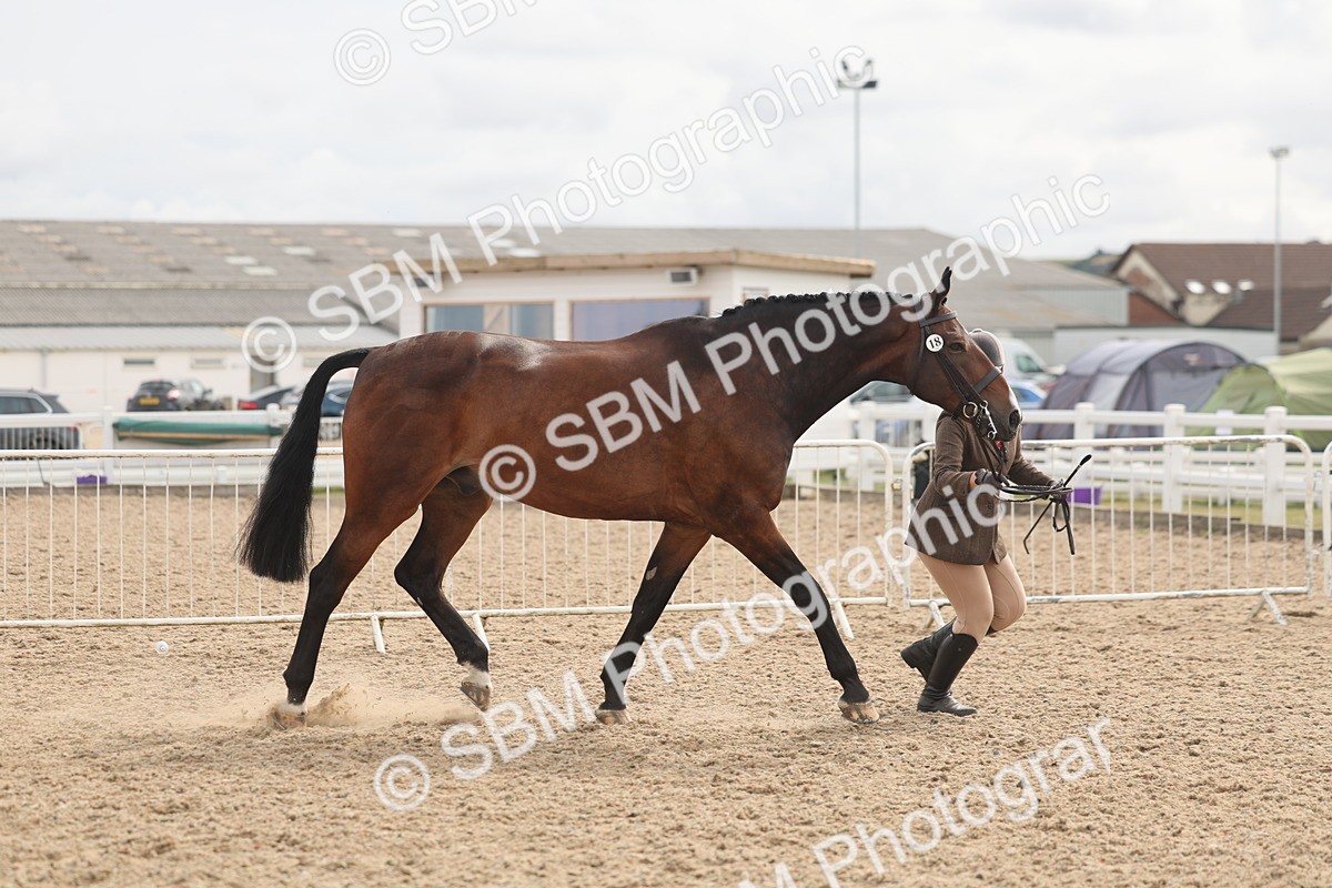 SBM_04976 - Class 20 - IH Veteran
