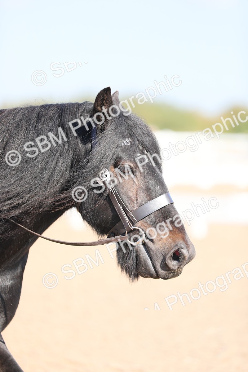 SBM_02513 - Class 30 Intro 1