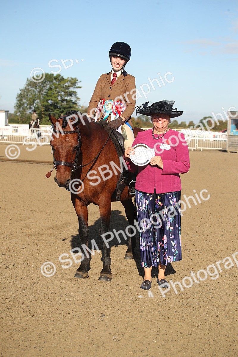 SBM_11579 - Class 502 - Riding Club Horse