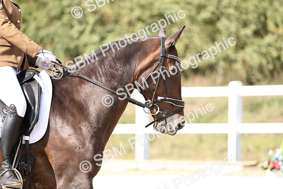 SBM_014891 - Class 7 - Medium 3