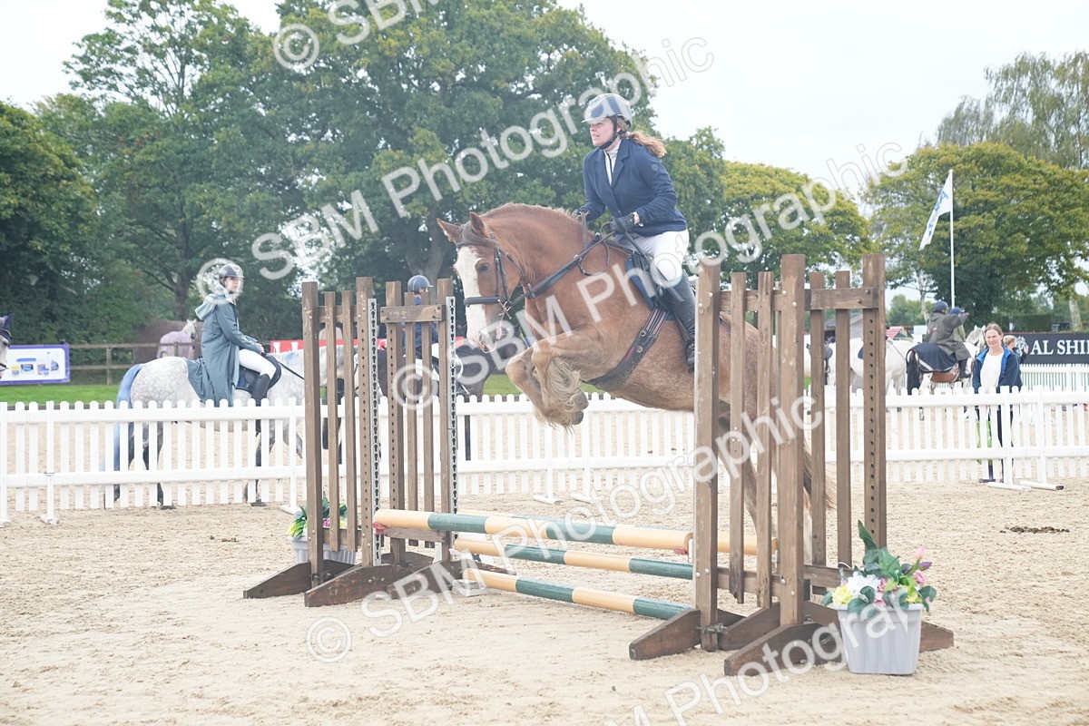 SBM_01850 - J54 - Clear Round 50cm