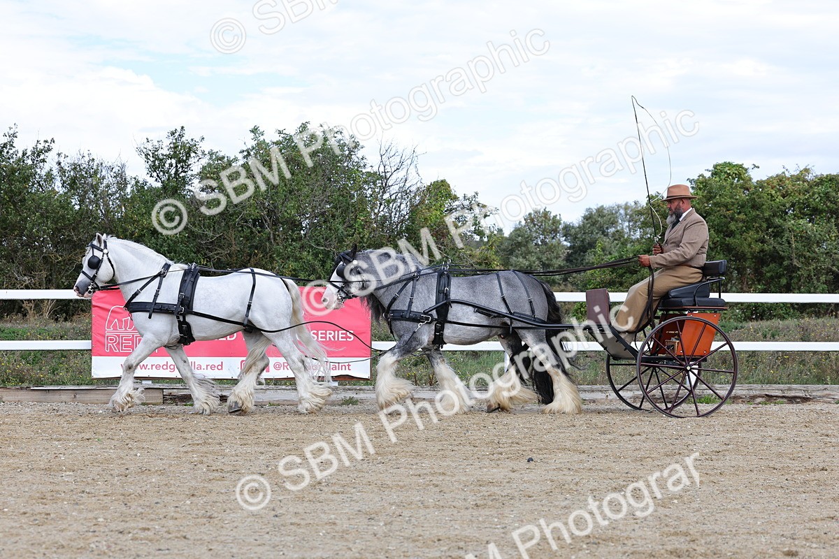 SBM_001197 - Class 16 - Pairs ,Multiples and Tandems