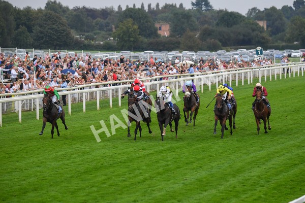 100923-Race 5-Commanche Falls-0861 - Race 5 3.50pm BetGoodwin Garrowby Stakes