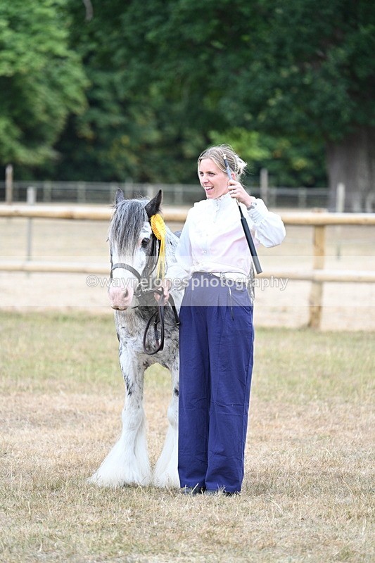 WJ7_9672 - Class 5 Most Handsome Gelding (up to 14.2hh)