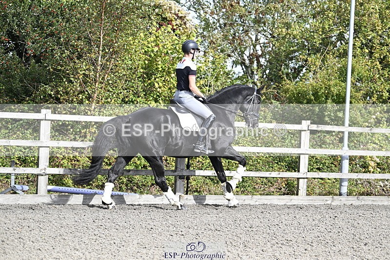 260704A-125403-15291 - Cls 33 Snr Fox Second Round