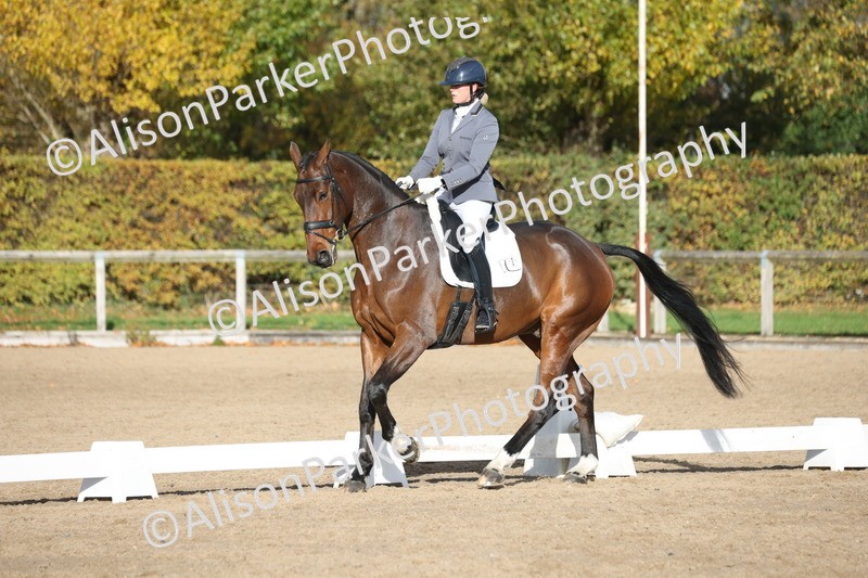 20251102-1091 - Class 6 - Elementary 6