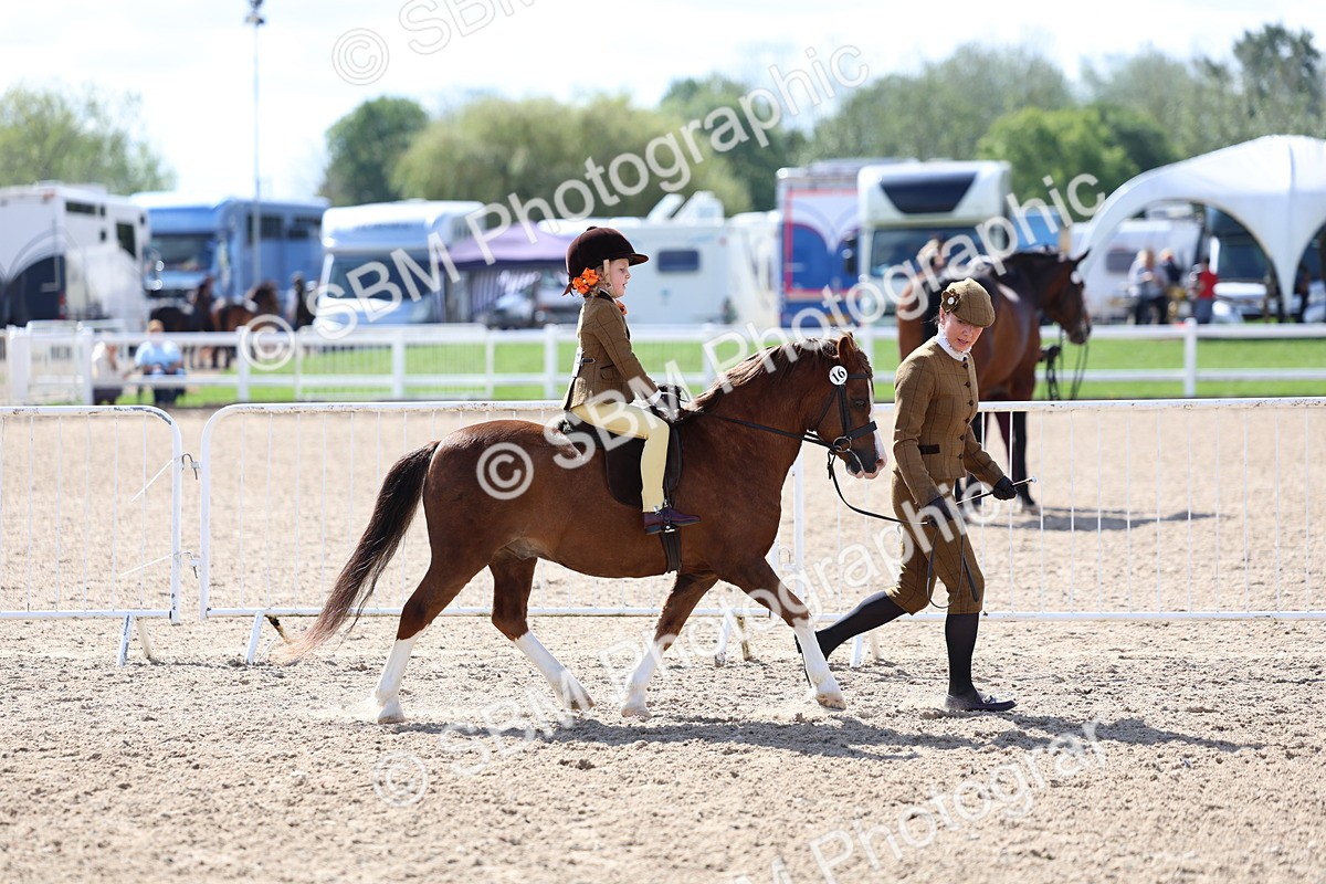 SBM_13021 - Class 309 - Lead Rein Pony