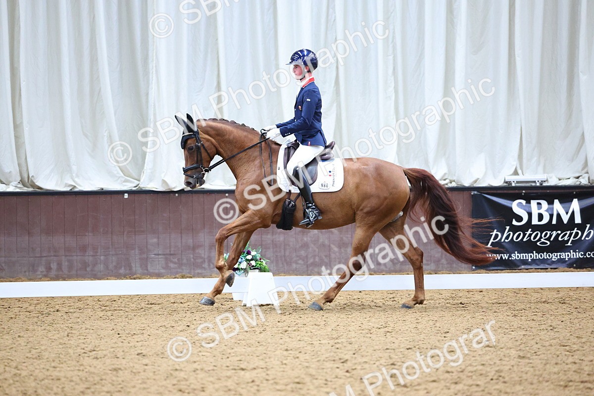 SBM_006056 - Class 5 - Novice 6 - 10.47-11.43