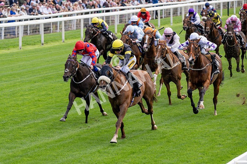 190826-Race 1-Air Force One-0143 - Race 1 13.50pm Hong Kong Jockey Club World Pool Handicap