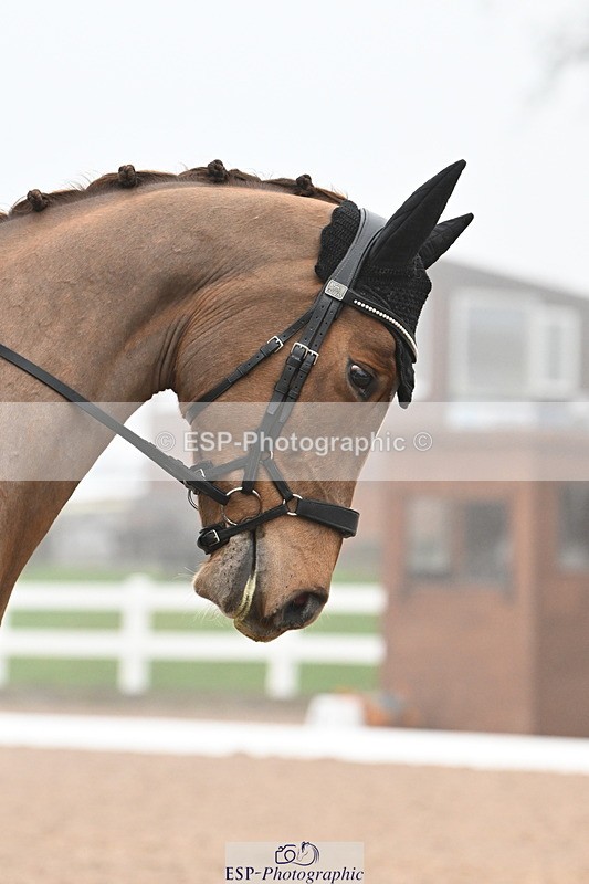 240217A-111614-01624 - 124-Anna.miller-fantabulous