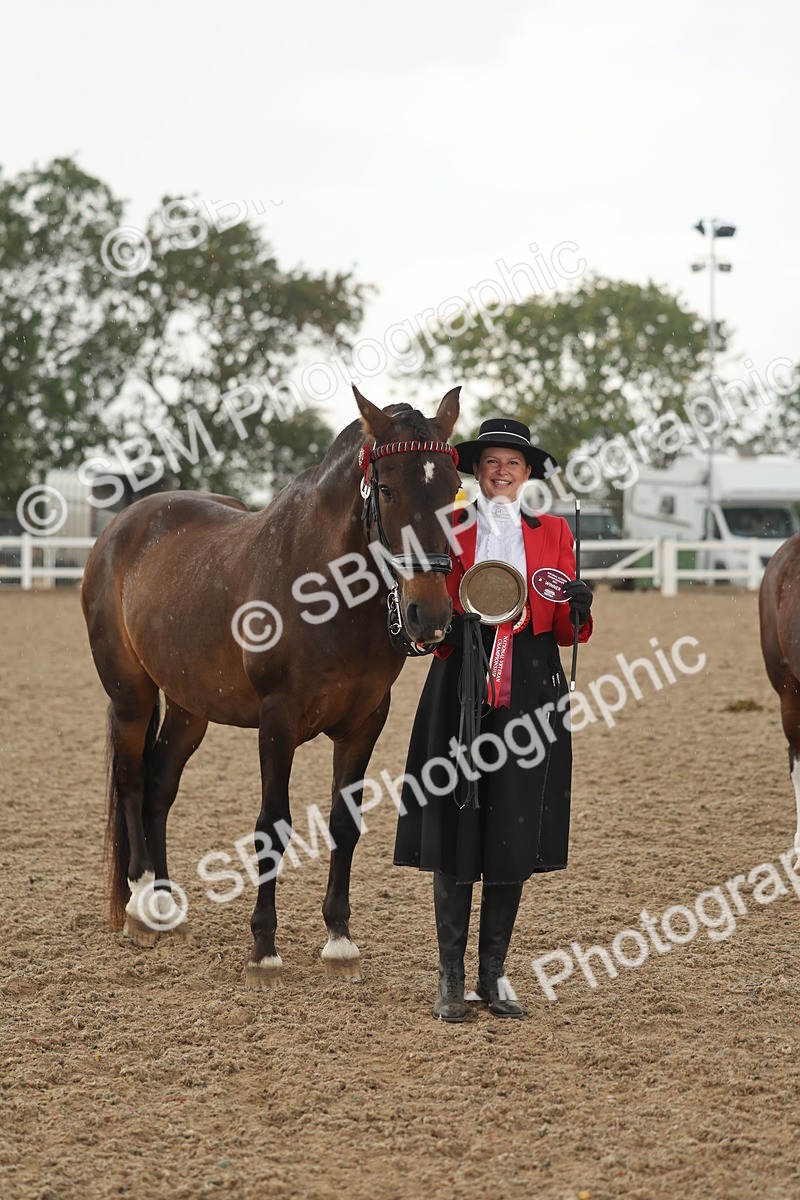 SBM_07706 - Class 26 - IH Foreign Breeds - Part Bred