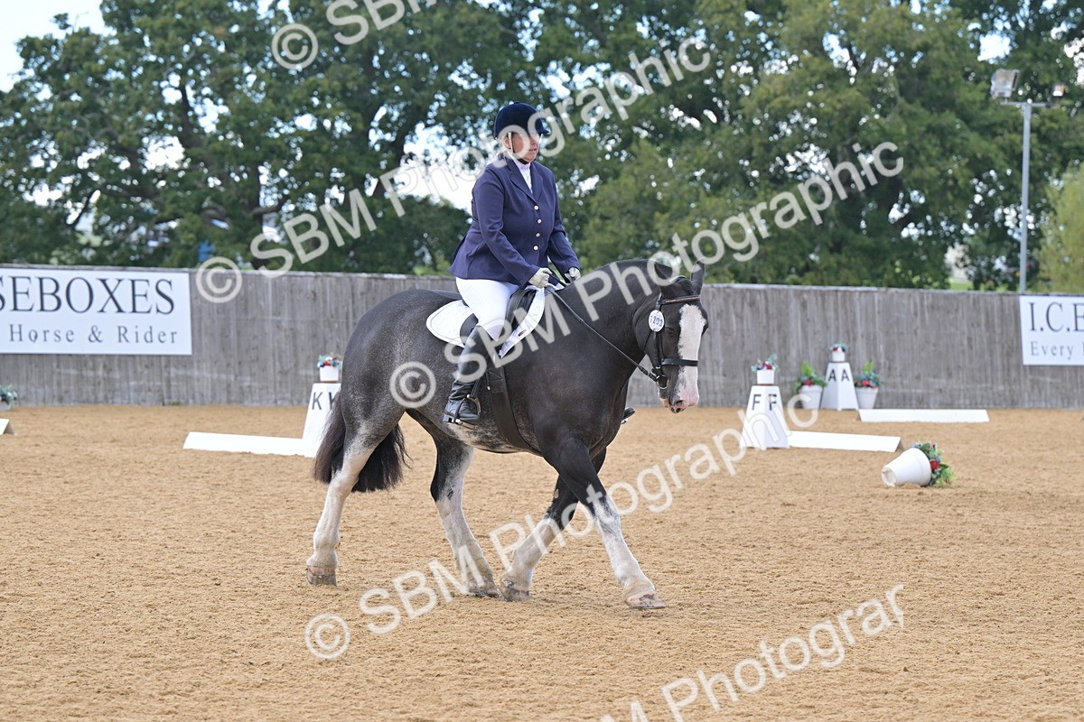 SBM_09271 - D8 - Small Tour Championship Prelim 1