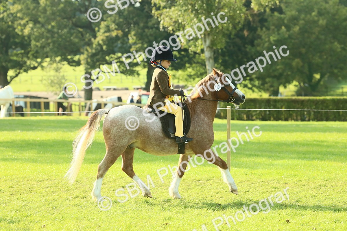 SBM_59284 - S38 - Starters Ridden Showing