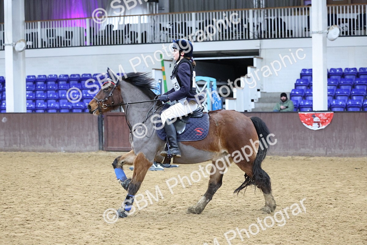 SBM_000983 - Class 3 - Christmas Tree Stakes - 60cm