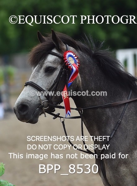 BPP_8530 - CLASS 2 Pony British Novice 2ND ROUND