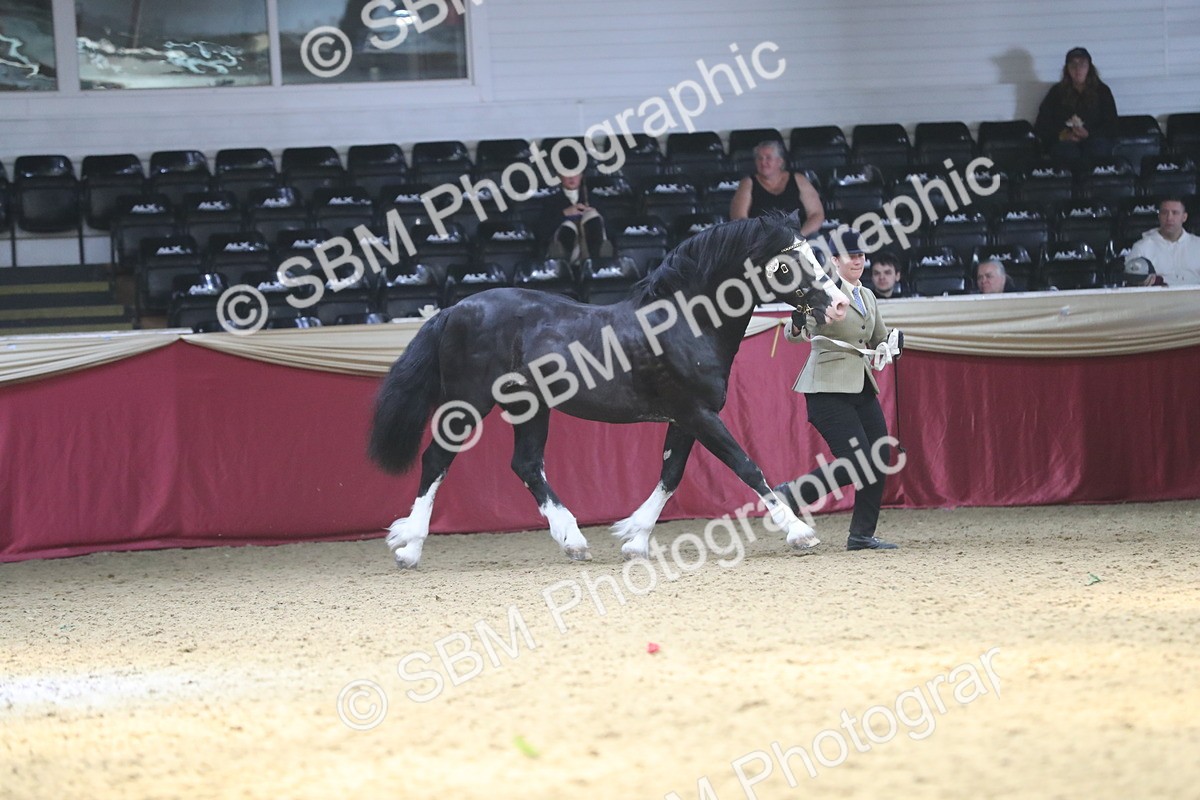 SBM_15250 - Class 501 M&M IH Supreme Final