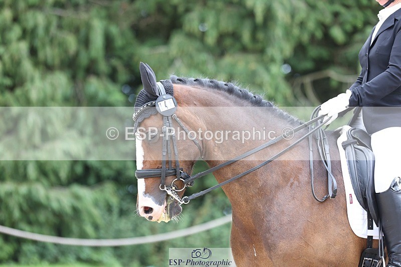 230813-151747-08032 - Cls 11 Elem Bronze 14.30 to End