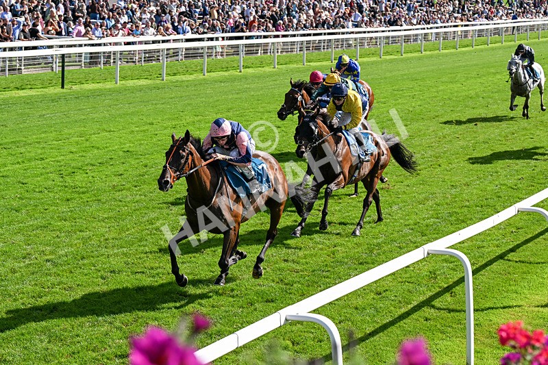 060926-Race 3-Moon Chime-0210 - Race 3 2.40pm Hanson Springs Stayers Handicap