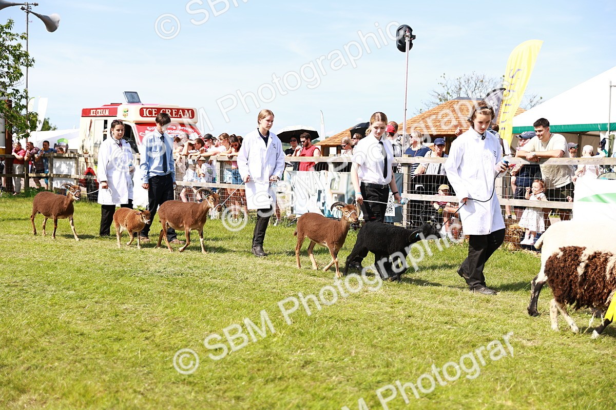 SBM_08308 - Grand Parade