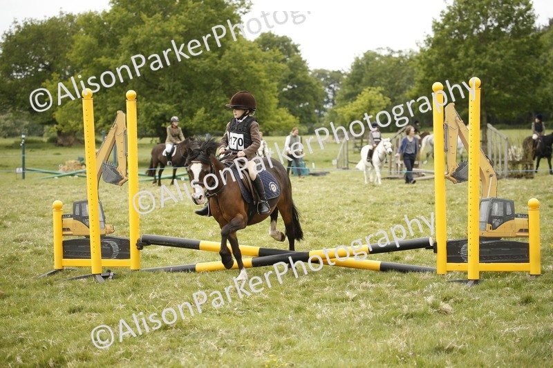 20250517-0728 - Class 2 - 30cm Off Lead Rein