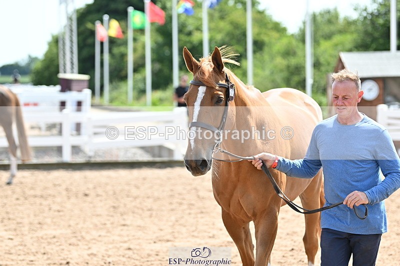 240717A-150700-02553 - Trot Up 3pm to 4pm
