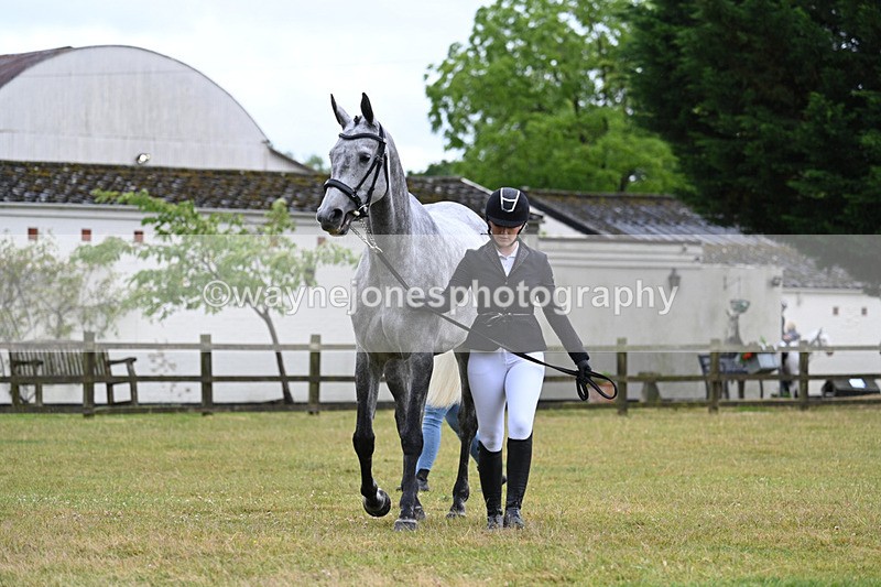 WJ7_6042 - Class 4a Prettiest Mare over 14hh