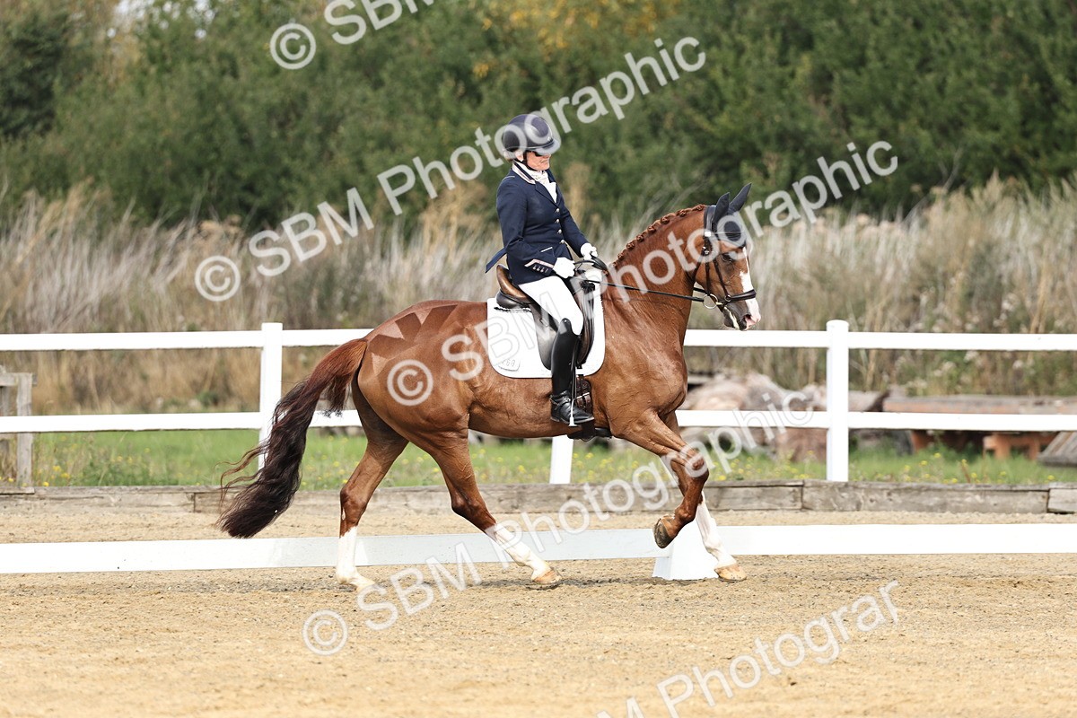 SBM_017476 - Class 12-14 - Intro 2-Prelim 5