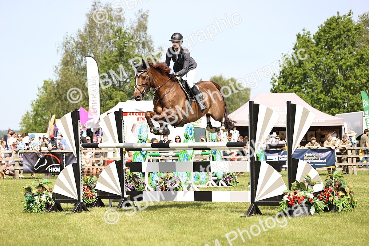SBM_03189 - Class 201 - British Horse Feedds Speedi Beet HOYS Grade C