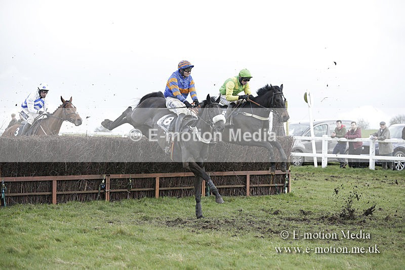 PtP 150320 0594 - New Forest Point-to-Point Larkhill 15/03/20