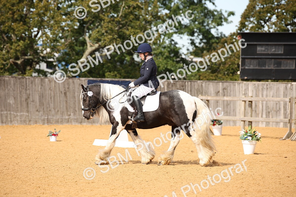 SBM_21768 - D5 - Small Tour Championship - Intro C
